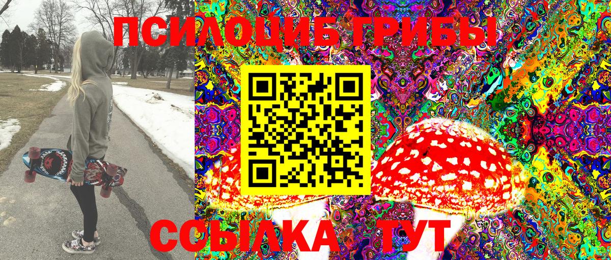 Псилоцибиновые грибы ЛСД Димитровград