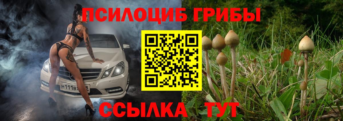 Галлюциногенные грибы Psilocybine cubensis  Галлюциногенные грибы мухоморы  Вход с VPN  Димитровград 